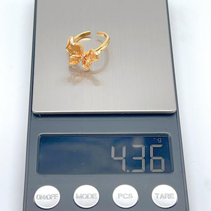 Butterfly design Earrings and Ring in silver 925